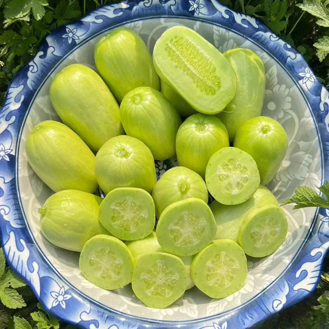 Golden Lady Cucumber Seed (Pack of 100 seeds)